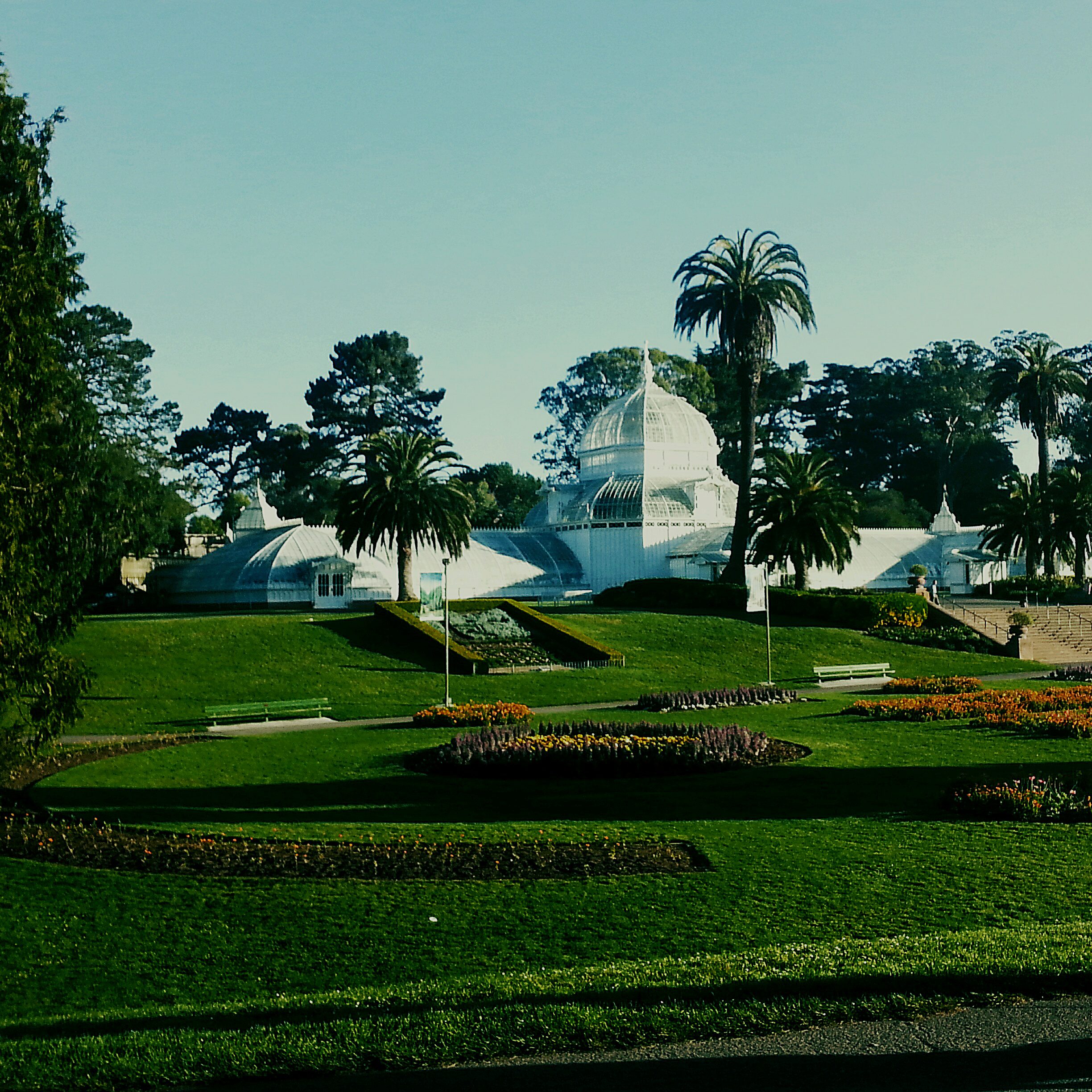 Beautiful capital city Qatar.